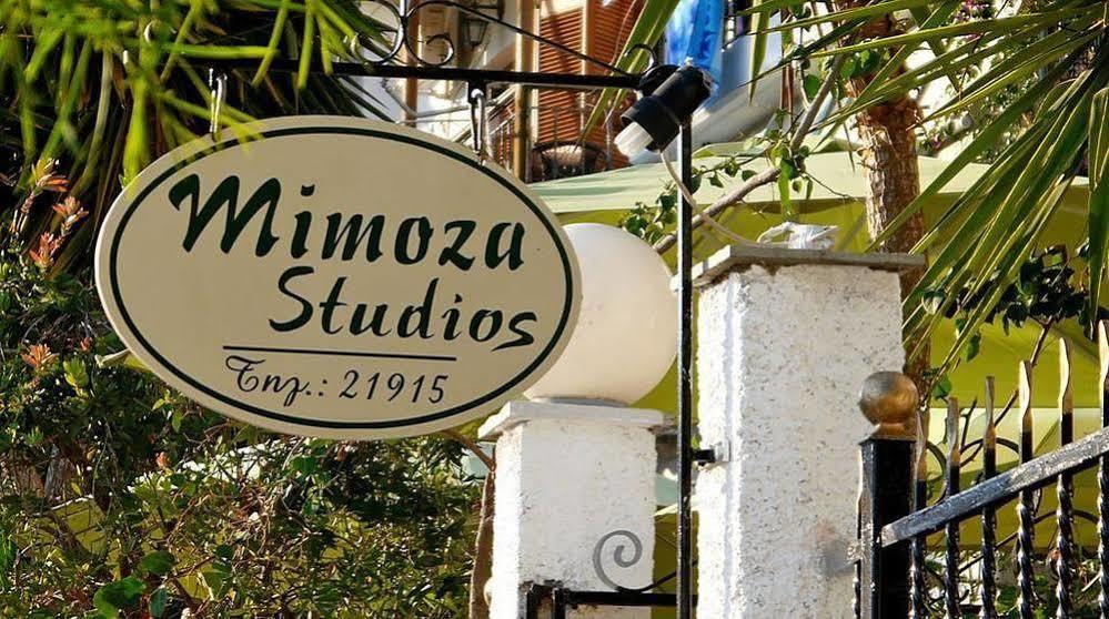 Mimoza Studios Szkiáthosz Kültér fotó
